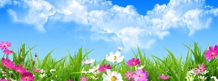 NEWSLETTER PRIMAVERA 2019