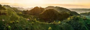 COLLINE CONEGLIANO VALDOBBIADENE PATRIMONIO UNESCO !