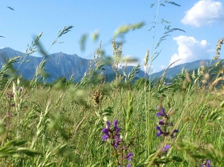 NEWSLETTER GIUGNO 2022