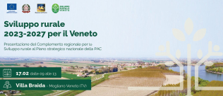 NEWSLETTER MARZO 2023