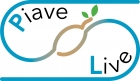 PROGETTO PIAVE LIVE