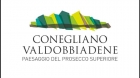 PRESENTAZIONE DELLA CANDIDATURA UNESCO DELLE PRESENTAZIONE DELLA CANDIDATURA UNESCO DELLE