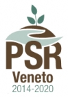 BANDI PSR VENETO 2014 2020 BANDI PSR VENETO 2014 2020