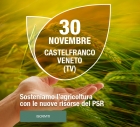 I DIALOGHI DEL PSR I DIALOGHI DEL PSR