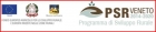 E' ON LINE IL NUOVO SITO WEB DEL PSR VENETO 2014 2020 E' ON LINE IL NUOVO SITO WEB DEL PSR VENETO 2014 2020